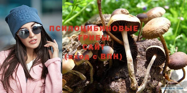 mdpv Алексин