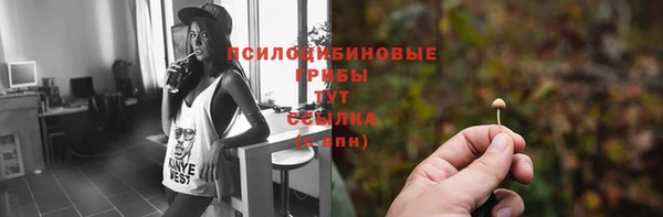 jwh Алзамай